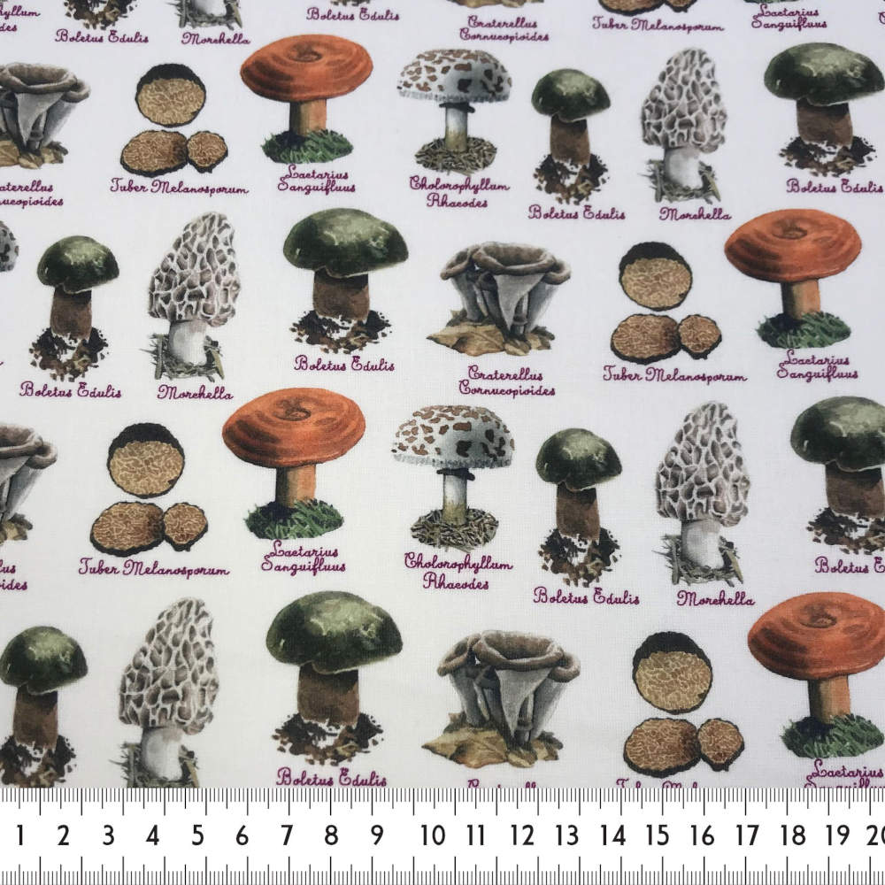 tela cotó estampat bolets fungi